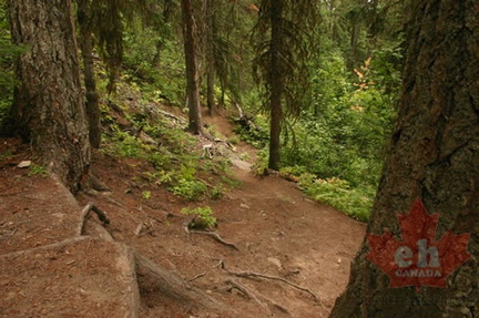 Hiking Trail