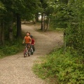 Children Riding Bikes