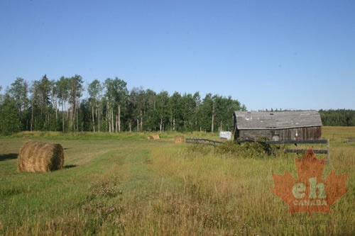 Old Farm Buildings (802 visits) Hay, there is some history Old Farm Buildings