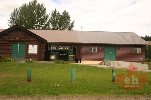 Fish Hatchery (848 visits) River Spawning Station Fish Hatchery