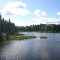 Shane Lake