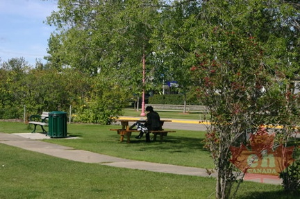 Reading in the Park