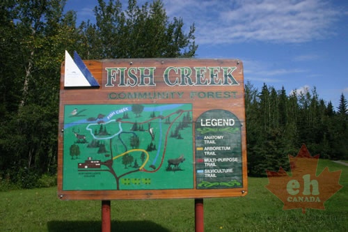 Fish Creek Community Forest - display this album Fish Creek Community Forest