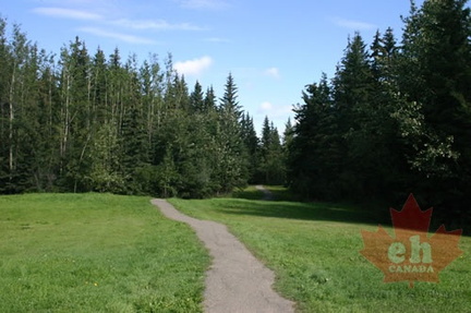 Walking Path