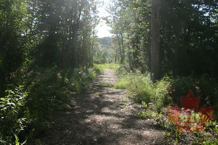 Hiking Trail