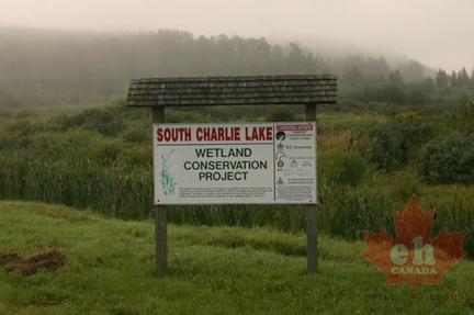 Wetlands Sign