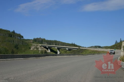 Cecil Lake Bridge
