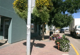 Shrubbery of Downtown (669 visits) Sidewalks lined with flower pots and trees Shrubbery of Downtown
