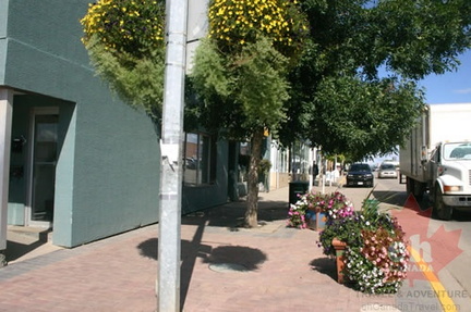 Shrubbery of Downtown