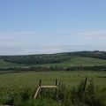 Rolling Hills