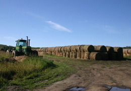 Hay and Tractors (662 visits) Rows and rows of hay. Hay and Tractors