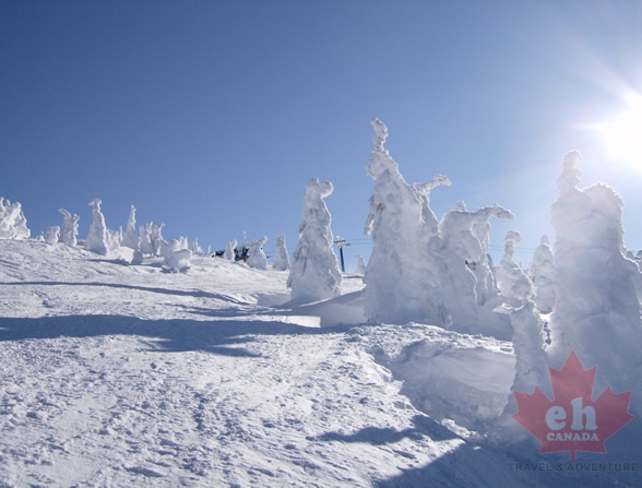 Big White : Okanagan Valley Ski Resorts