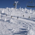 Amazing Snow (2076 visits) Amazing Snow Amazing Snow