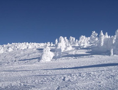 Sunny Days, Sunny,...