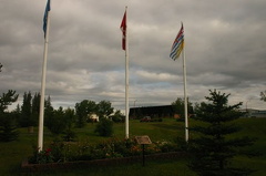 Flags & Flowers