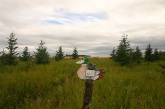 Mallard Meander Trail