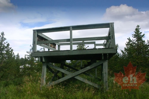 Viewing Platform