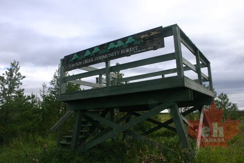Dawson Creek Community Forest