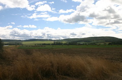 farm_fields 001.jpg