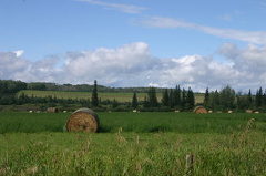 farm_fields.jpg