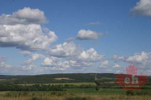 farmer_fields 001.jpg