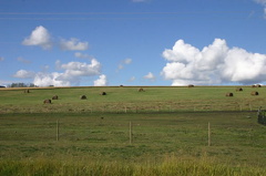 farmer_fields 002.jpg