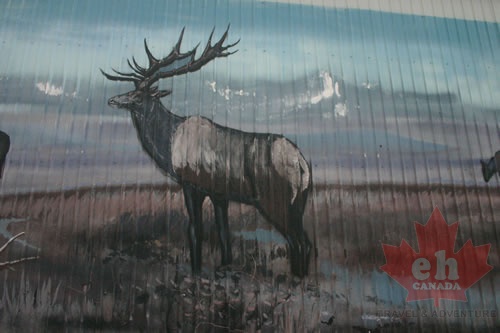 Wildlife Mural