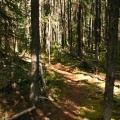 Hiking Trail
