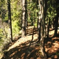 Hiking Trail