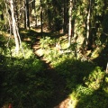 Hiking Trail