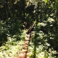 Hiking Trail