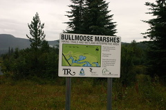 Welcome Sign