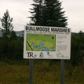 Welcome Sign