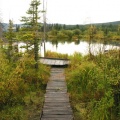 Viewing Platform