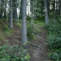 Hiking Trail