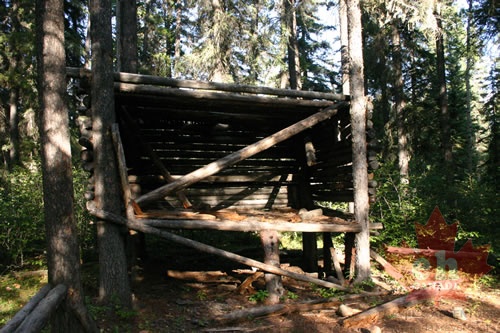 Old Hut