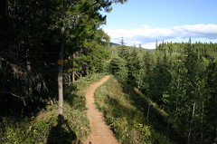 trail 001.jpg
