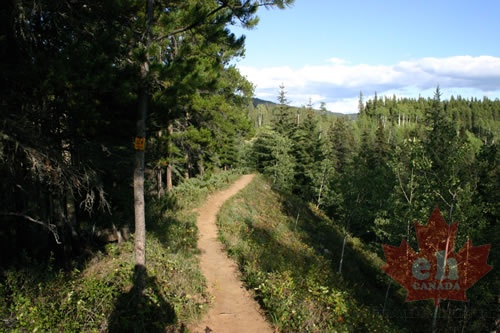 Hiking Trail