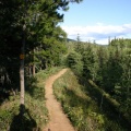 Hiking Trail