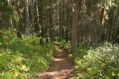Hiking Trail