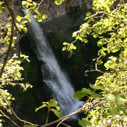 Kesbitts Knee Falls
