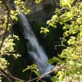 Kesbitts Falls