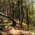 Hiking Trail