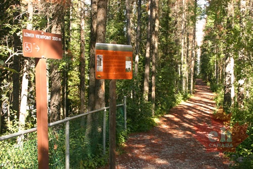Hiking Trail