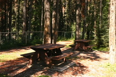 Picnic Area