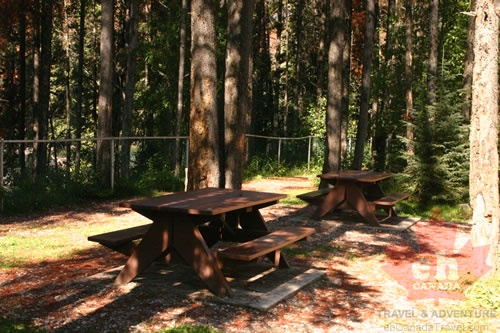 Picnic Area