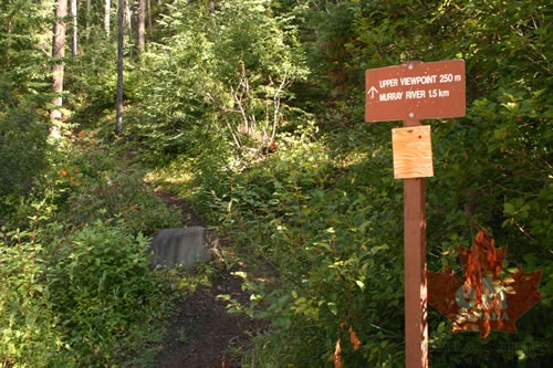 Upper Viewpoint Trail