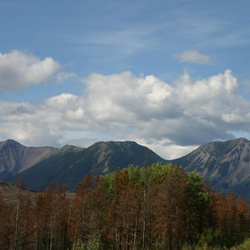 Monkman Park