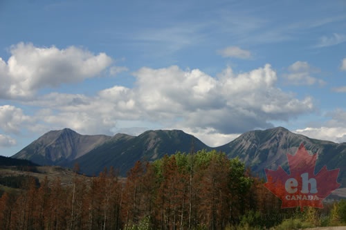 Mountain Views