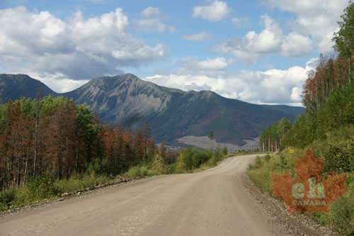 Gravel Roads